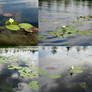 White Water Lilies pack