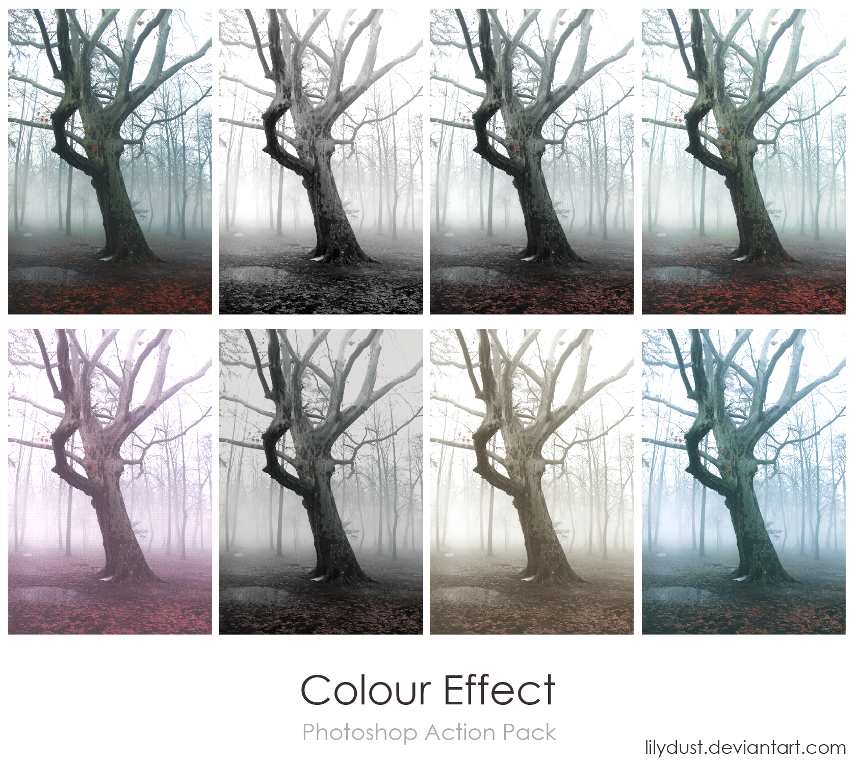 Colour Effect ATN