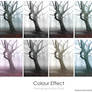 Colour Effect ATN