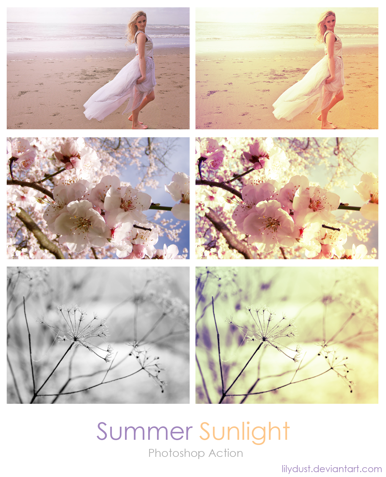 d4udixn-95262d9c-5e21-42d9-b5dc-1c788d34fb0b.png