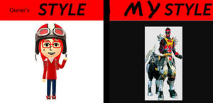 Owner's style compaired 2 my style.