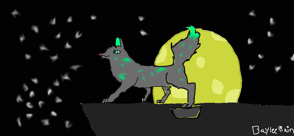 the full moon is rising by robindadutchshepherd on DeviantArt