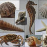 Seafood Pack