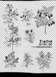 [mochizuki's] 20120322 plants png