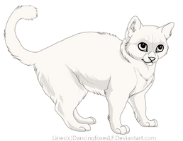 Free cat lineart