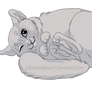 Curled up cat LINES