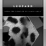 Leopard Wallpaper Pack