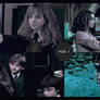 PSD #1 - harry potter