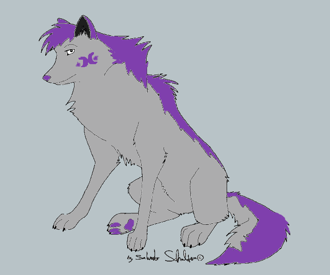 Erin The wolf by kaciep1 on DeviantArt