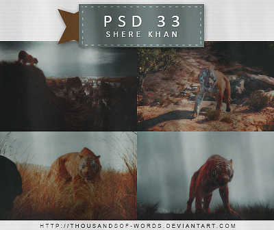 PSD COLORING 33 | Shere Khan