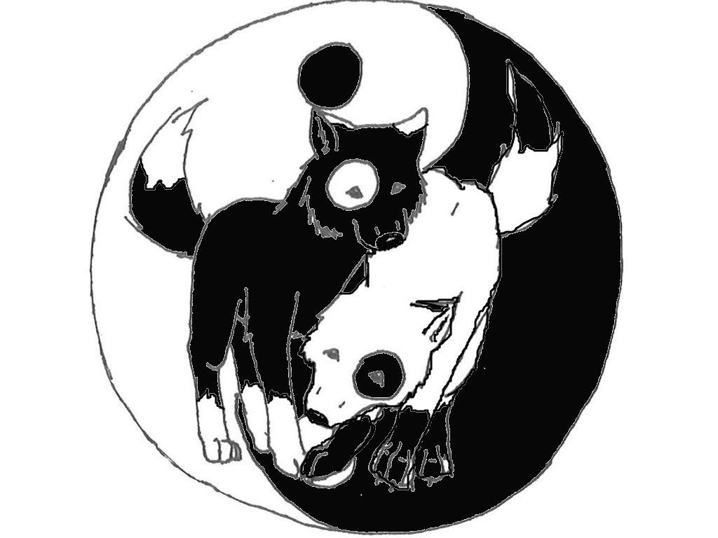 more yin and yang by Foxnight4ever on DeviantArt