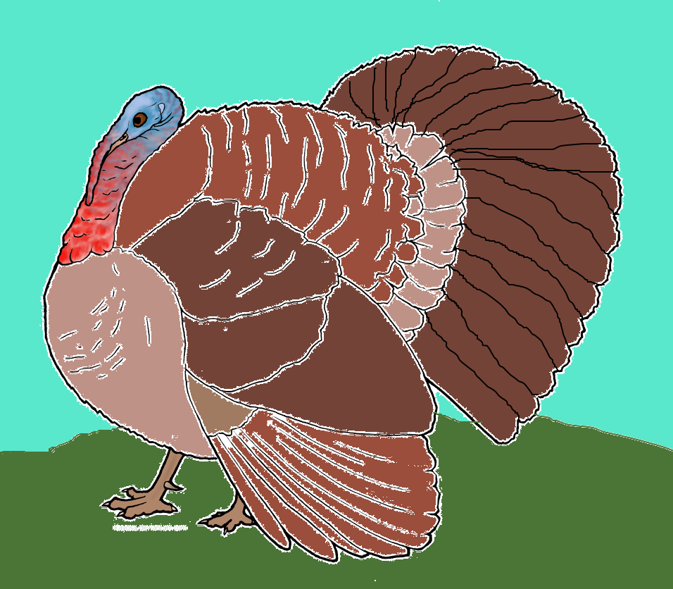 The Thanksgiving Turkey! by BushyBlades on DeviantArt