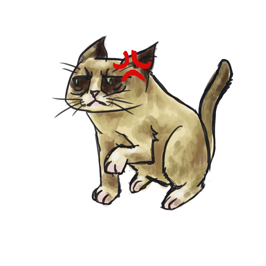 Grumpy Cat by silicon-jayce on DeviantArt