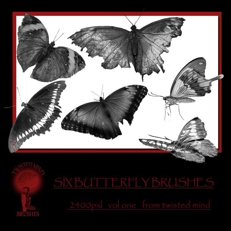 Twisted Mind Butterfly Brushes Vol 1