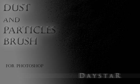 Dust and particles brush set