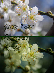 Green tinge Photoshop action