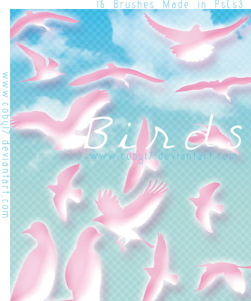 Birds Brushes by Coby17 on DeviantArt