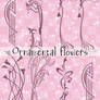 Ornamental Flowers Brushes