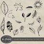 Botanical doodle photoshop brushes