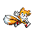 Tails Running Wave Icon