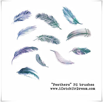 Feathers PS brushes