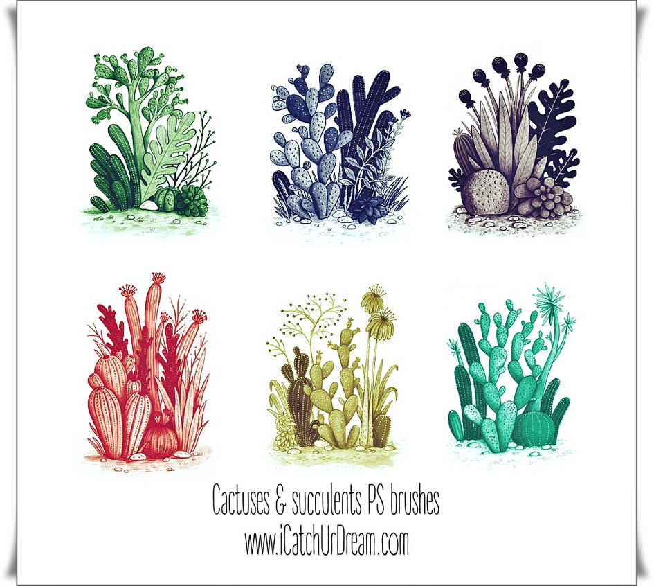 Cactuses And Succulents PS brushes by iCatchUrDream on DeviantArt