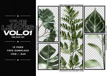 [03] : the leaves vol. 01