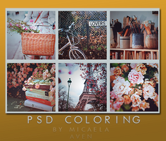 PSD coloring +81