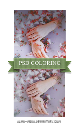 PSD Coloring +86