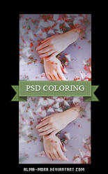 PSD Coloring +86