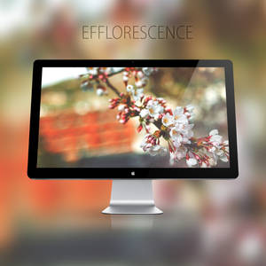 Efflorescence Wallpaper