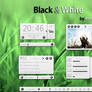 Black and White_For xwidget V1.1