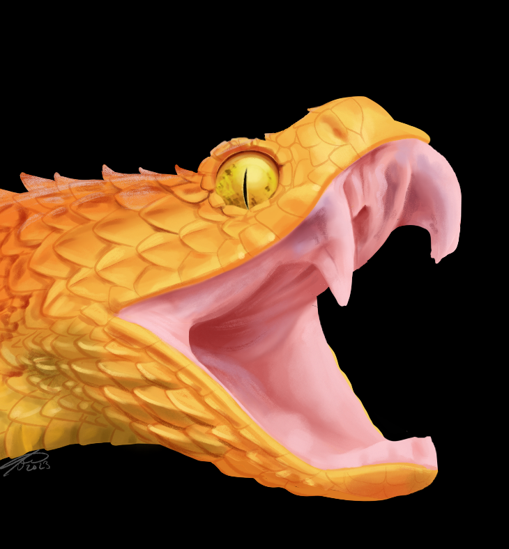 raaaa by stray-galaxy on DeviantArt