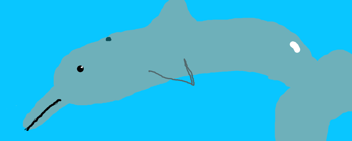 dolphin by vampire-knight-zero2 on DeviantArt
