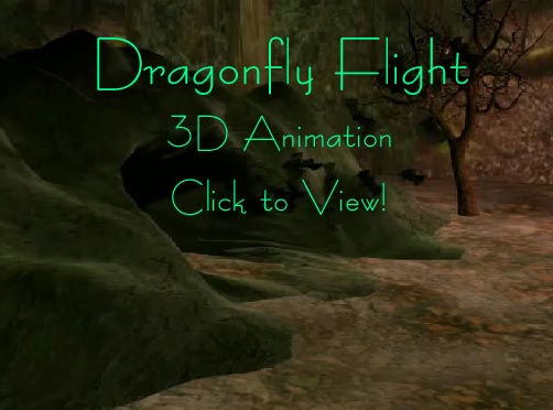 Dragonfly Flight: 3D Animation