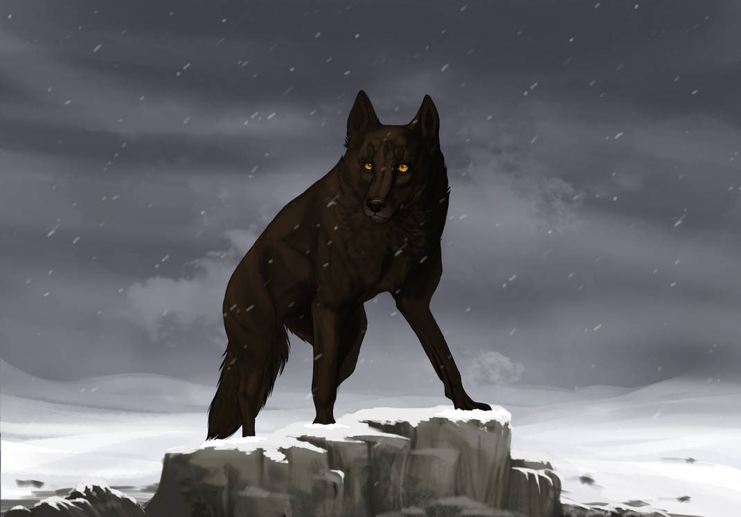 Lone Wolf by etriers on DeviantArt