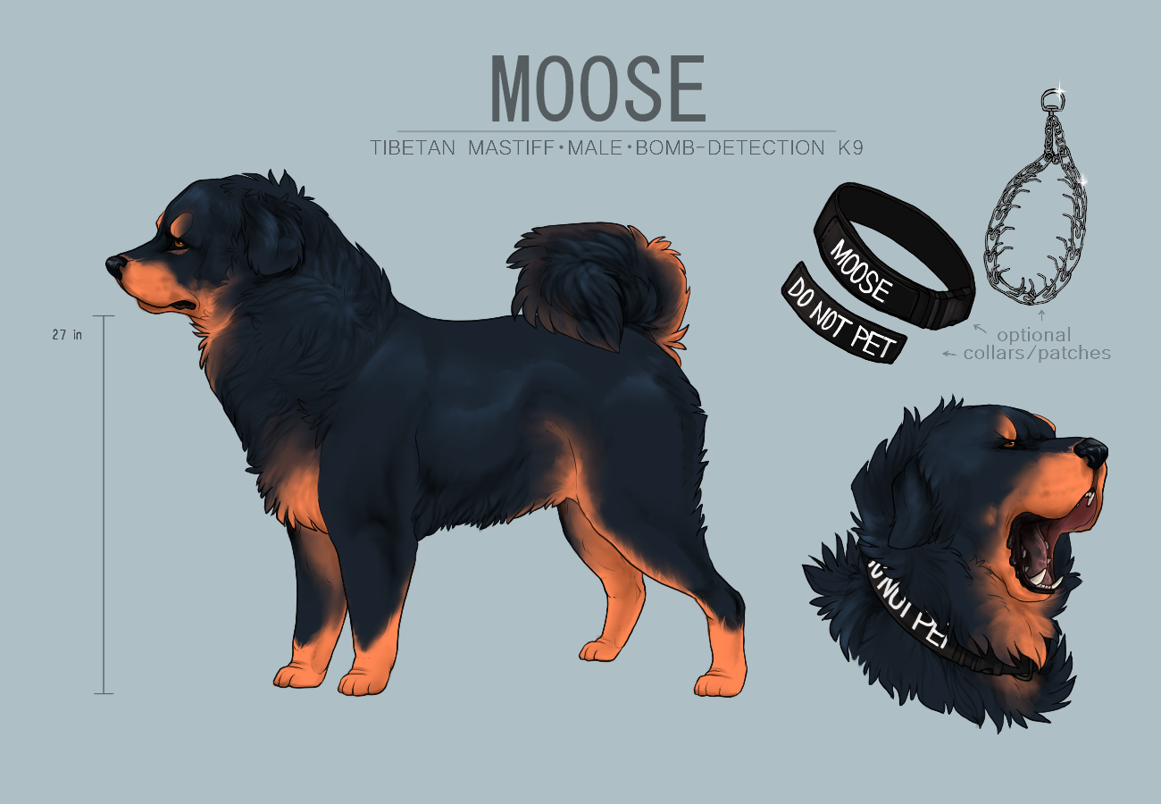 Moose Reference by etriers on DeviantArt