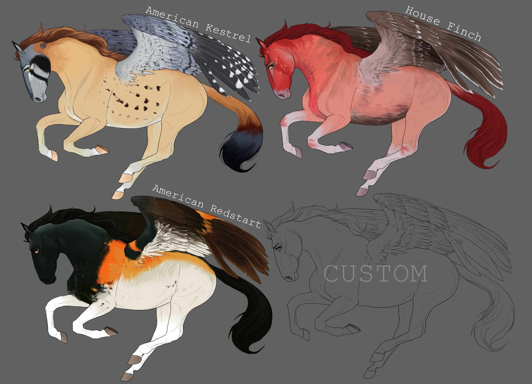 Pegasus Adopts by etriers on DeviantArt