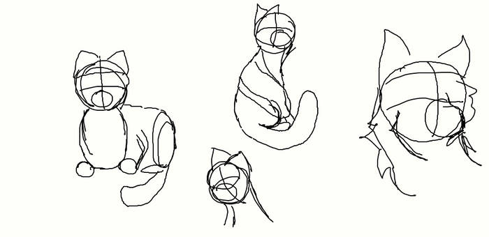 CAT POSES (USE FREELY)