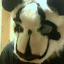 Fursuit Overveiw: Da-Xia the Panda