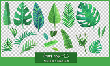 Leaves PNG #3