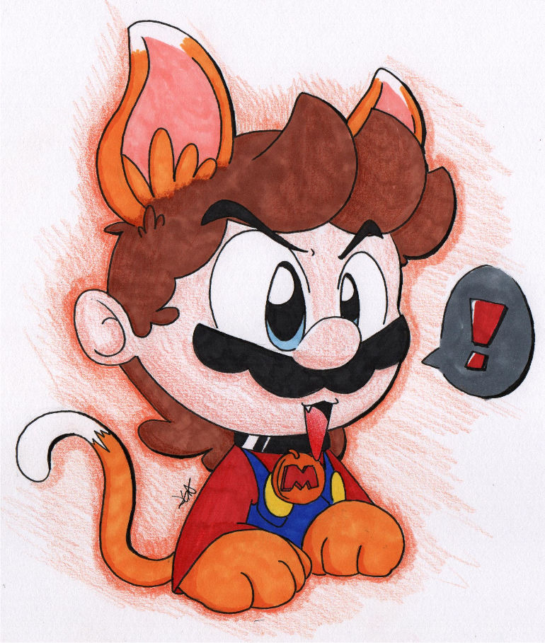 Cat mario no poki
