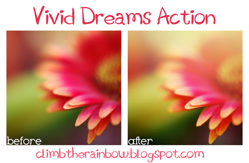 vivid dreams action