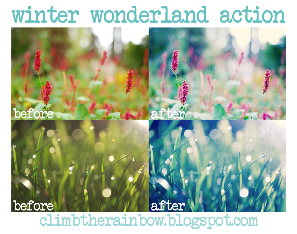 winter wonderland action