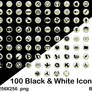 100 Black and White Icons