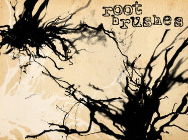 root brushes