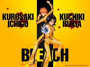 KILL BLEACH - wallpaper