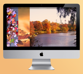 Autumn Wallpaper Pack 01.