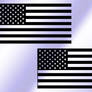 Regulatory American Flag