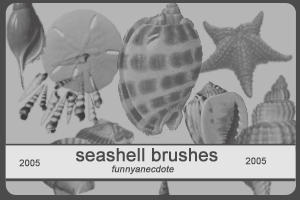 Seashell Brushes - 2005